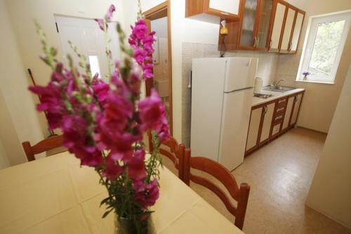 Hostal Apartments Vesna Mimice
