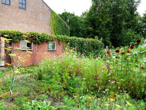 Holiday Home Rondomtuin