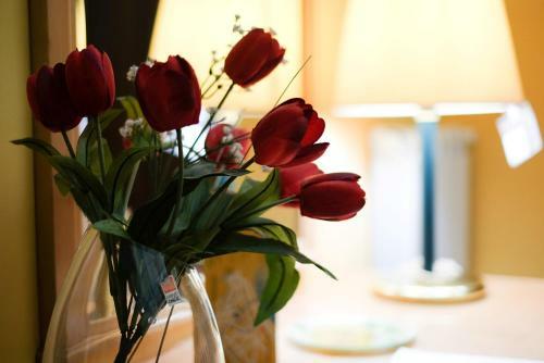 Rodoflor B&B