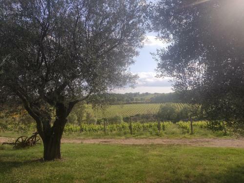 Agroturismo Borgo Villa A Tolli