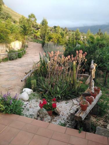 Apartamento Il Corbezzolo Suite Appartament