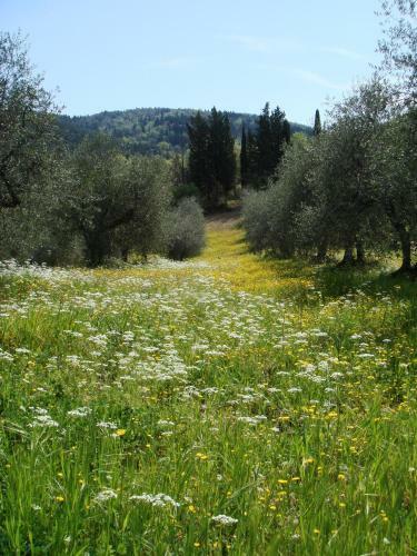 Agroturismo Podere Patrignone