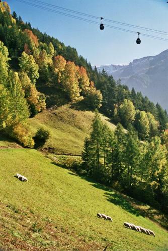 Agroturismo Ratzeshof