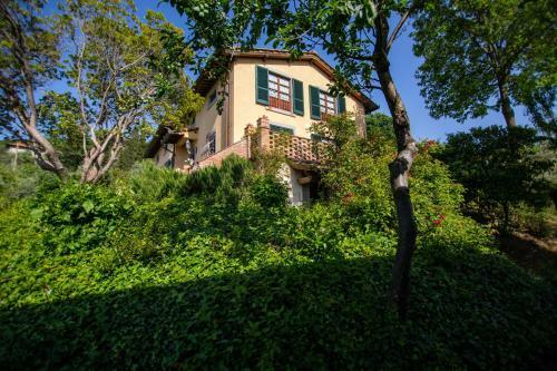 Villa Degli Olivi