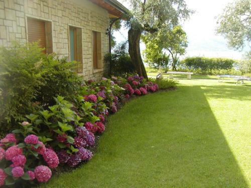 Bed & Breakfast Torre Degli Ulivi