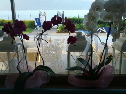 Bed & Breakfast Torre Degli Ulivi