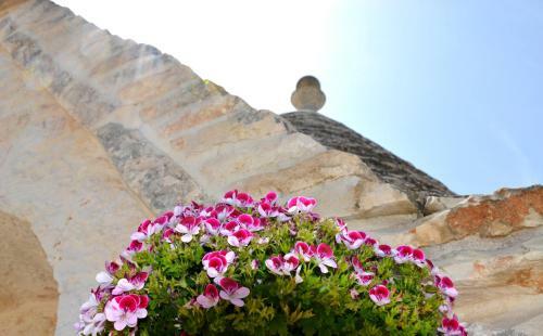 Il Trullo Del Mirto