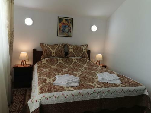 Hostal Pensiunea Albina