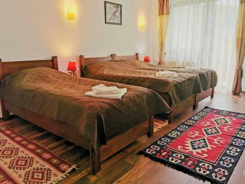 Hostal Pensiunea Albina