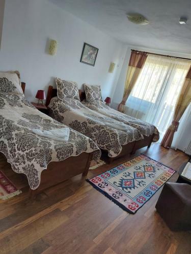 Hostal Pensiunea Albina