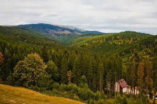 Karpatski Hotel & Spa