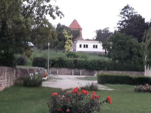 Hostal F�nyes Vinorium Panzi�