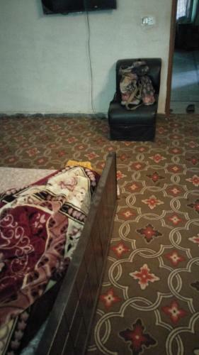 Hostal Green Life Guest House