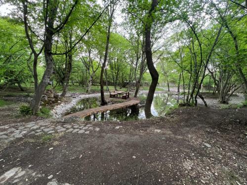 Villa Qusar Forest