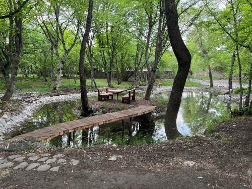 Villa Qusar Forest