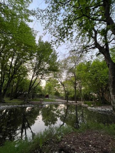 Villa Qusar Forest