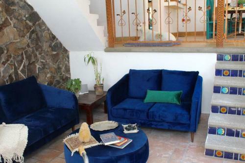 Casa Galgo: Full House To Live Cholula