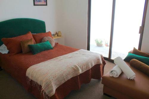 Casa Galgo: Full House To Live Cholula
