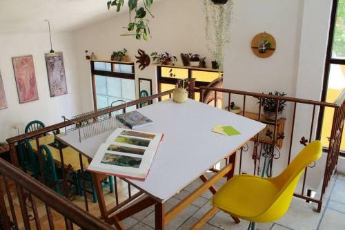 Casa Galgo: Full House To Live Cholula