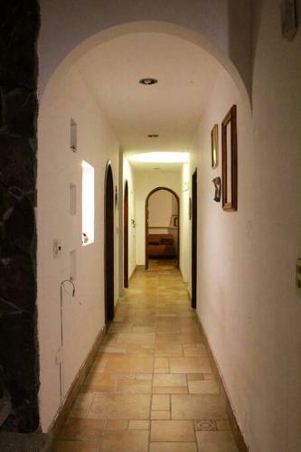 Casa Galgo: Full House To Live Cholula