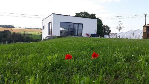 L'harmonie Du Jardin G�te