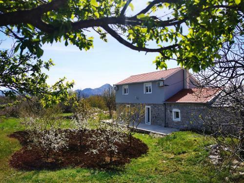 Apartmani Matej