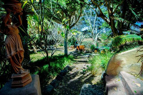 Apartamento El Card�n Agaete Valley Boyr