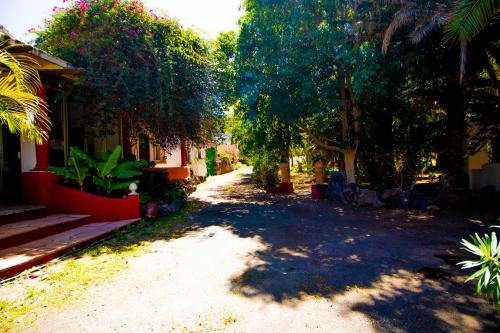 Apartamento Nen�far Agaete Valley Dmzu