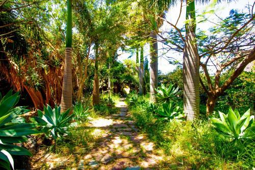 Apartamento Nen�far Agaete Valley Dmzu
