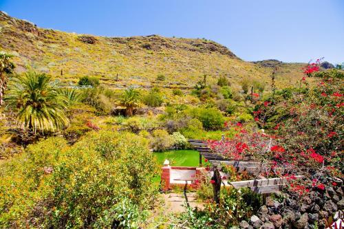 Apartamento Nen�far Agaete Valley Dmzu