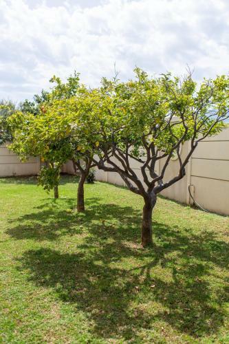 Agroturismo Villa Alyki