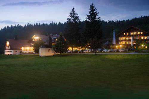 Wellness- Und Vitalhotel B�hmhof