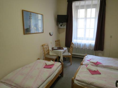 Hotel ?esk� Dv?r