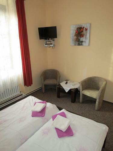 Hotel ?esk� Dv?r
