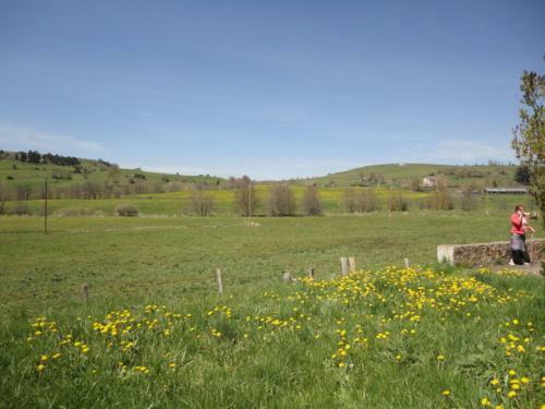 Villa Allanche