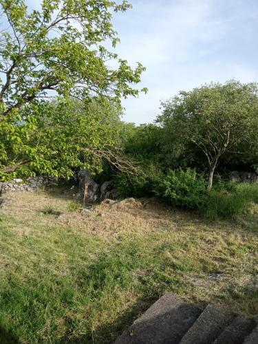 Apartamento Country Stone House Kovacevic