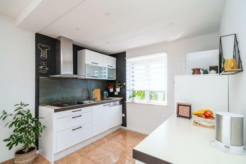 Apartment Doma