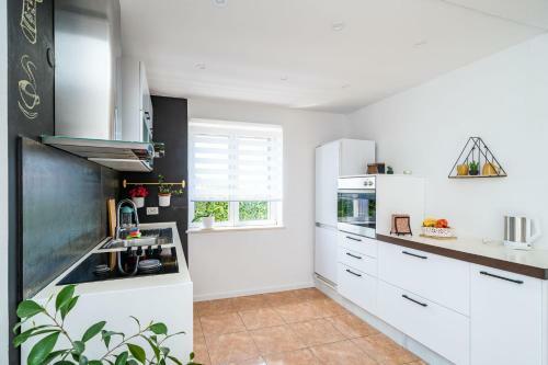 Apartment Doma