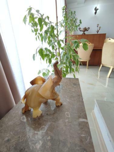 Apartman Jelena