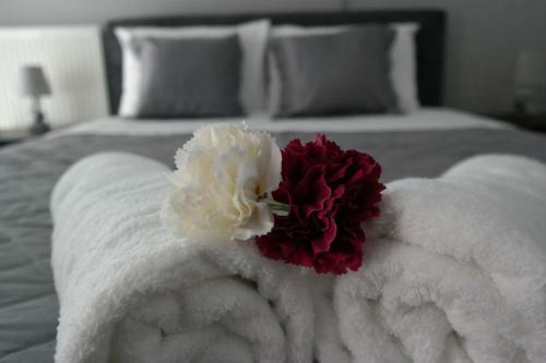Sweet Dreams Apartment