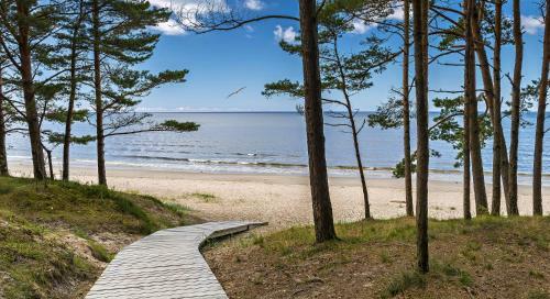 Seaside Forest Apartment