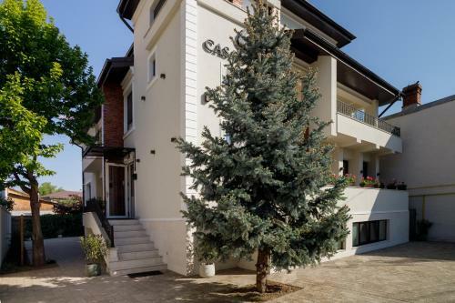 Hostal Pensiunea Casa Sturza