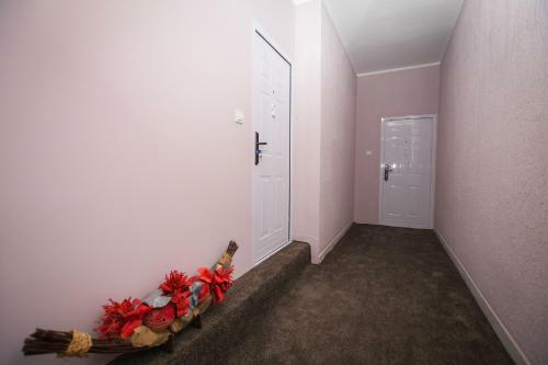 Apartmani Gen?i? 3