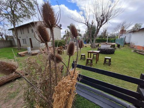 Apartamento Caba�as De Cero