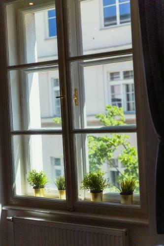 Stylish Apartment / Center / Free Parking