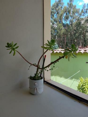 Bed & Breakfast Calca El Mono Sabio