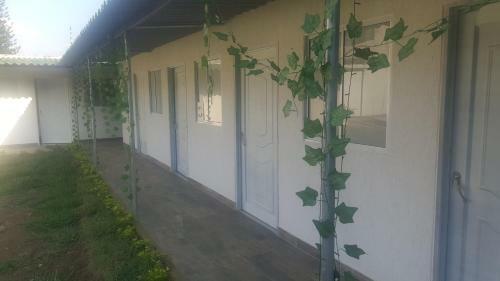 Hostal San Rafael Casa Mallorca