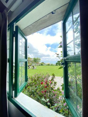 Hotel Verdant & Wellness Experience
