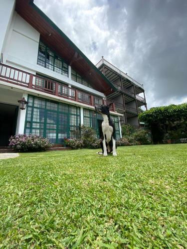 Hotel Verdant & Wellness Experience