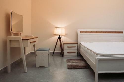 Luxury Fully Furnished Apartment